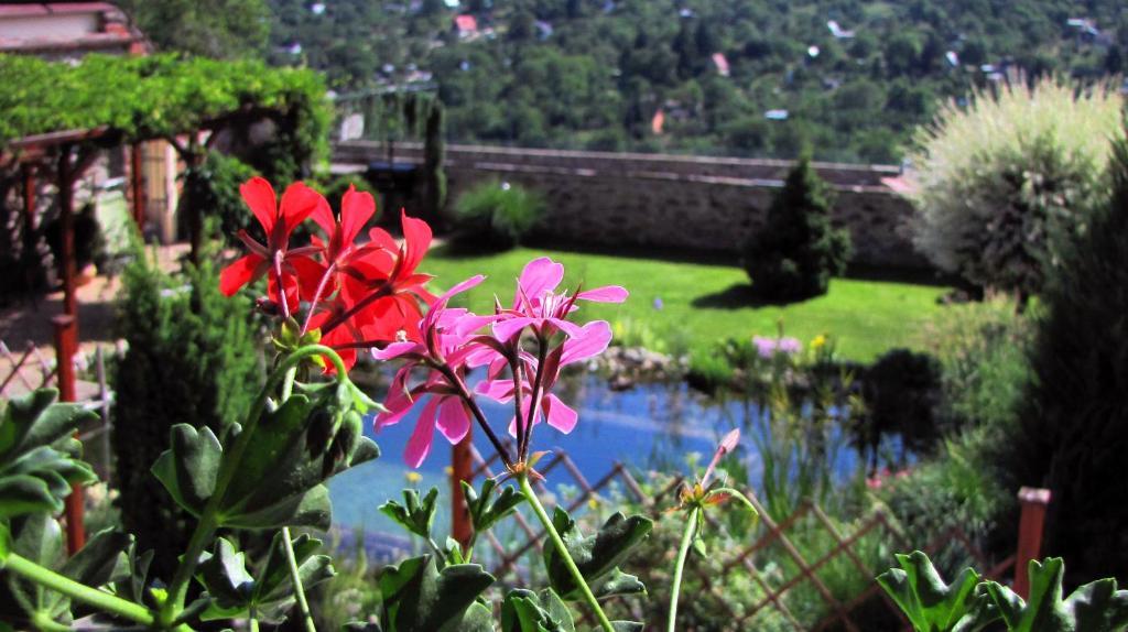 Penzion Kaplanka Znojmo Exterior foto